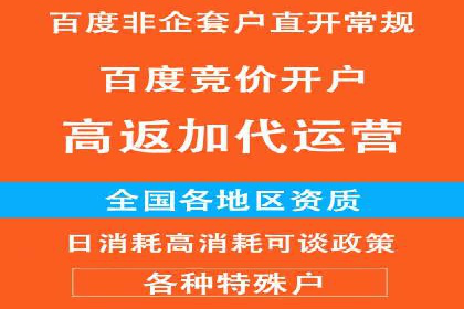 百度竞价代理实战技巧：经典案例深度解读